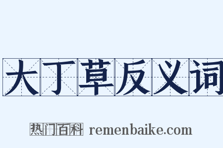 大丁草反义词是什么意思的图片